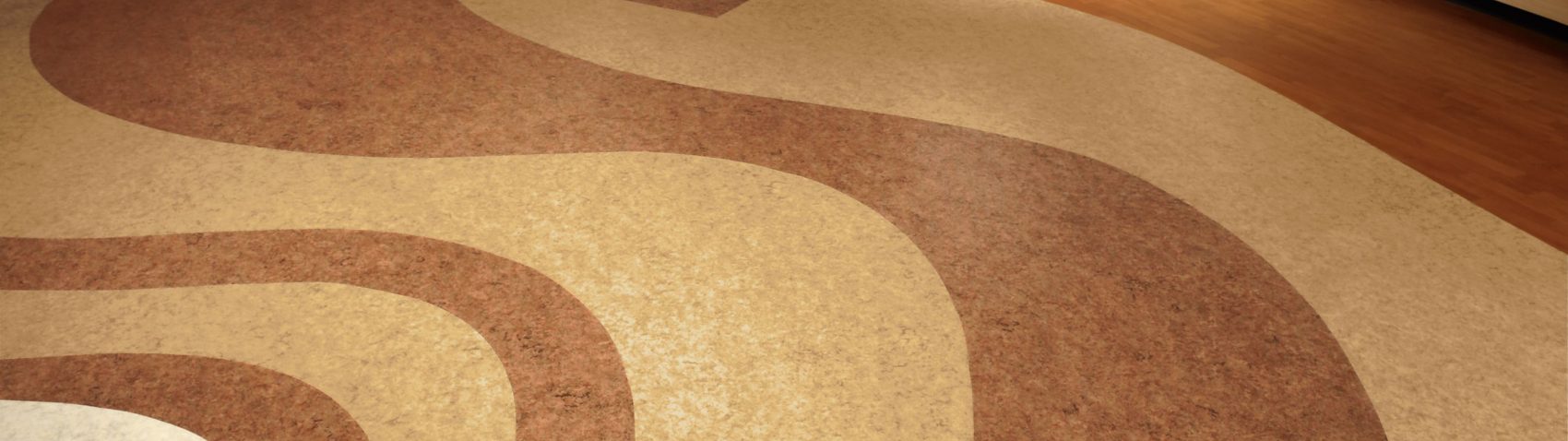 15372383858124787342.jpg carousel-single-xlarge.1700.478.jpg