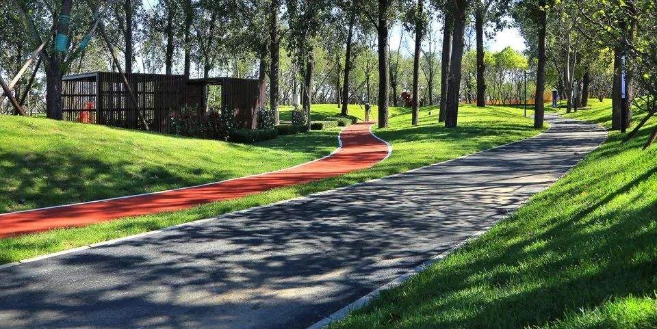 15552087908634880819.jpg 09.jpg